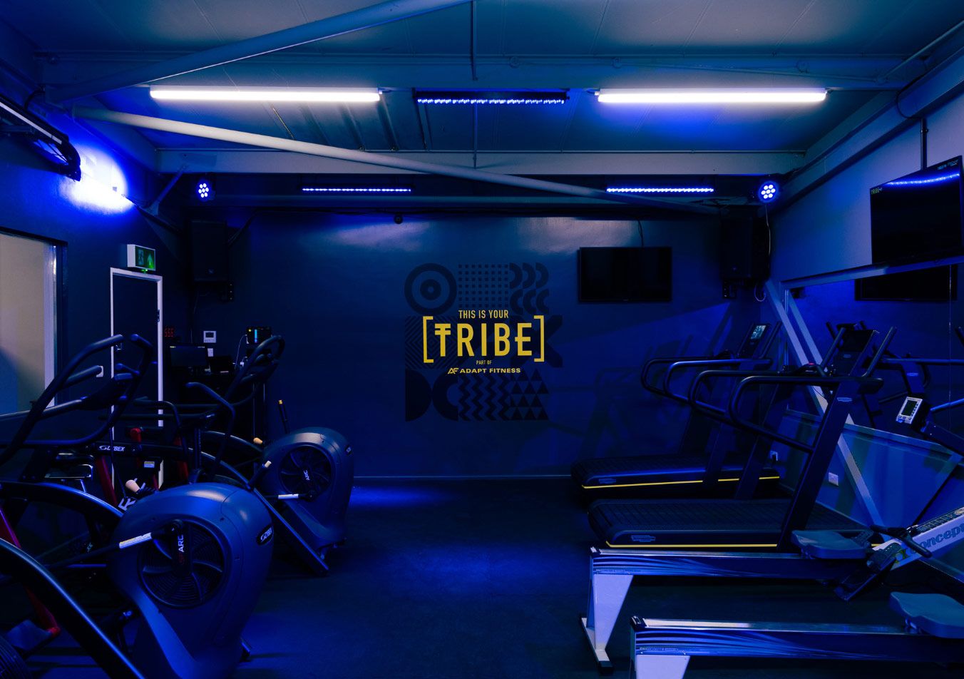 Tribe fitness studio