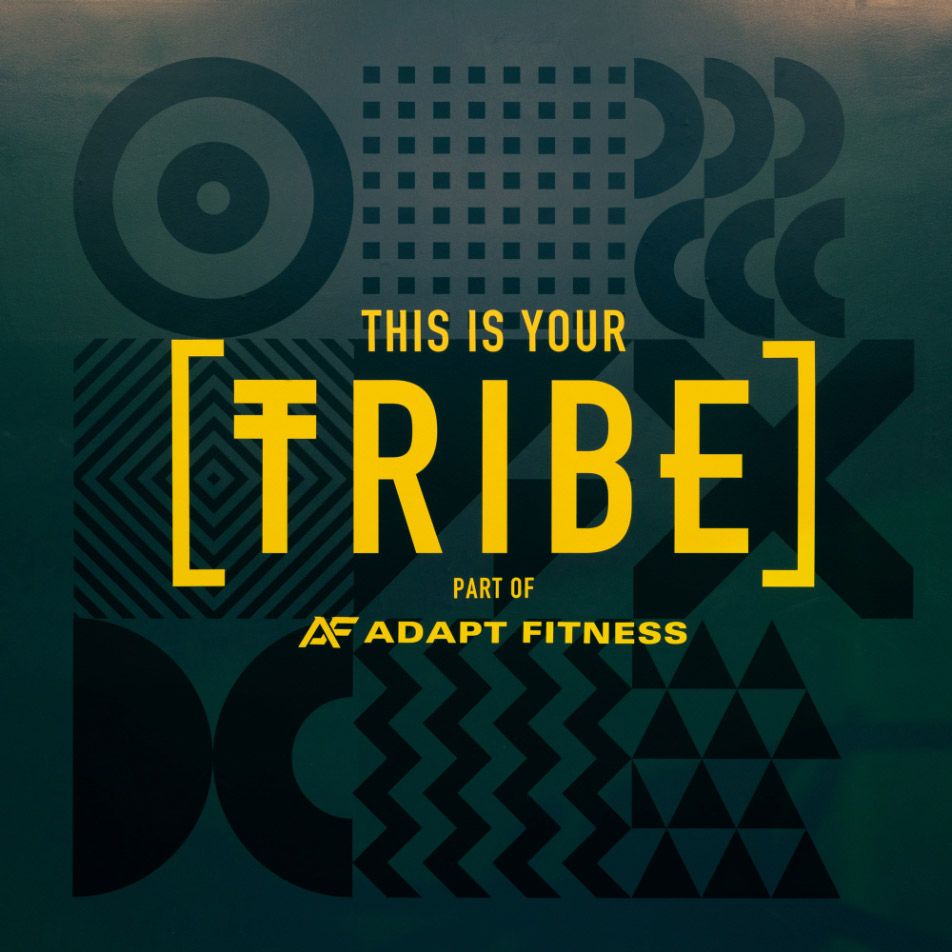 A close up of the Tribe fitness studio logo